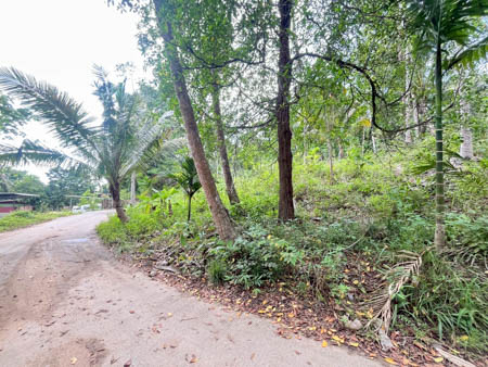 ที่ดินทำเลทองลิปะน้อย เกาะสมุย ราคาพิเศษ วาละ 10000  ที่ดิน 3 ไร่เศษ ลิปะน้อย เหมาะสร้างรีสอร์ทหรือบ้านพัก โอกาสลงทุนสมุย ราคาดี 