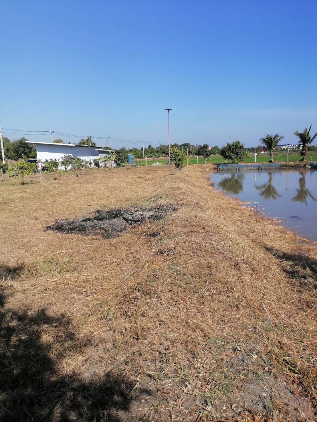 ขายที่ดินรูปสี่เหลี่ยมผืนผ้าสวย ใกล้คลอง 15 บึงน้ำรักษ์ จังหวัดฉะเชิงเทรา