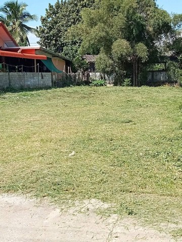 ขายที่ดินถมแล้ว ใกล้วัดทุ่งเจริญ อำเภอแม่สาย จังหวัดเชียงราย เนื้อที่ 163 ตารางวา