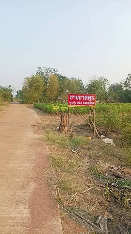 ขายที่ดินกาญจนบุรี ขายที่ด่านมะขามเตี้ย ขายที่ดินตำบลกลอนโด ขายที่ดินติดทางสาธารณะ ที่ดินวิวภูเขา ต.กลอนโด อ.ด่านมะขามเตี้ย จ.กาญจนบุรี