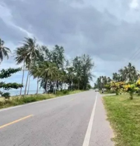 ขายที่ดิน ใกล้จุดชมวิววัดคอเขา  ตำบลบางมะพร้าว  อำเภอหลังสวน  จังหวัดชุมพร