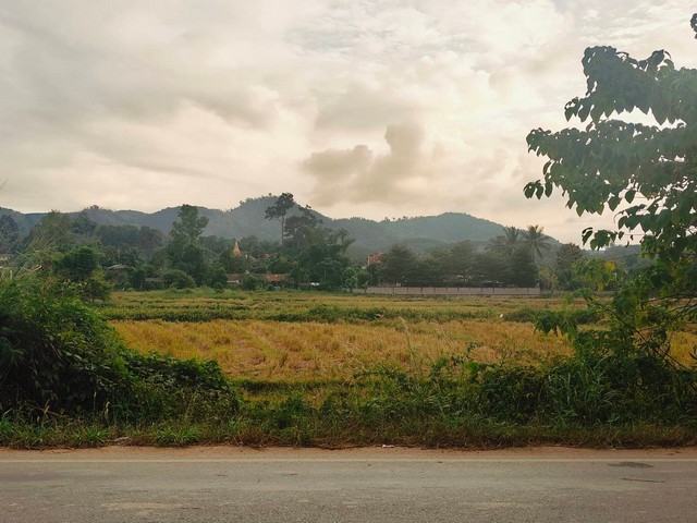 ขายที่ดิน 4ไร่ 3.2ลบ. ทุ่งนาวิวเขา ติดถนน1098 กิ่วพร้าว-ท่าข้าวเปลือก บ้านแม่หะป่าไร่ ต.ท่าข้าวเปลือก อ.แม่จัน เชียงราย