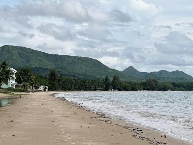 ซื้อเก็บยิ้มรับทรัพย์เฮงๆปังๆ ขายที่ดินริมหาดสะพลีทรายขาวน้ำใสคราม สวยงามวิวทะเลธรรมชาติสุดสุด ปะทิวใกล้หาดสวยทุ่งวัวแล่น