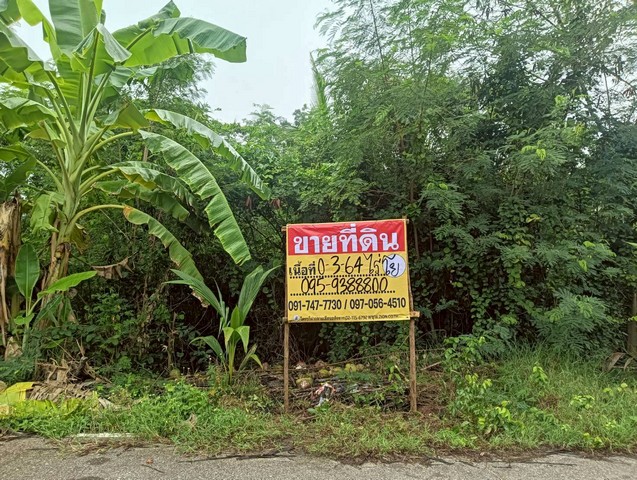 ขายที่ดิน 364 ตร.ว. ทำเลสวย ธรรมชาติ รมรื่น   ปลายโพงพาง  อัมพวา  สมุทรสงคราม   ZW615