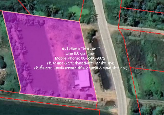 บ้าน ขายที่ดินติดถนน มีบ้านสวนผลไม้ มีบ่อปลา และมีโกดังเก็บของ พร้อมโรงจอดรถ 1-3-79 ไร่ ต.บึงน้ำรักษ์ อ.บางน้ำเปรี้ยว จ.ฉะเชิงเทรา ราคา 3.5 ล้านบาท  3500000 THB   one price เป็นที่ดินทรงสี่เหลี่ยม พร้อมสิ่งปลูกสร้าง (บ้าน+โกดัง+ห้องน้ำ) ติดถนน 2 ด้าน