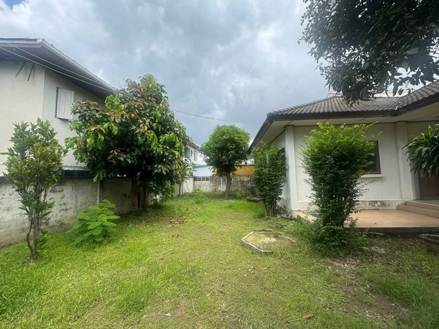 ขายที่ดิน ใกล้ แคราย ติวานนท์ งามวงศ์วาน 101ตรว.  ทำเลดี ราคาพิเศษ 