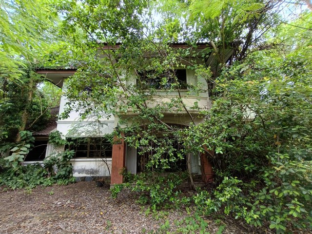 ขาย บ้านเดี่ยว บ้านดู่ เชียงราย ถนน สายบ้านดู่-น้ำตกโปร่งพระบาท PTT68-00087