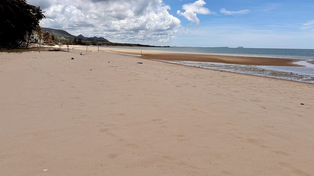 ซื้อไว้ดีมีไว้รวย อสิงห์หา ขายที่ดินริมหาดสะพลีทรายขาวน้ำใสคราม สวยงามวิวทะเลธรรมชาติสุดสุด ปะทิวใกล้หาดสวยทุ่งวัวแล่น