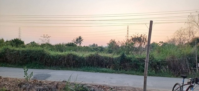 ขายที่ดิน 502ตรว. 2.96ลบ. ฟรีโอน ถม ล้อมรั้ว ถนนลาดยาง ไฟฟ้า น้ำประปา ใกล้ถนนวงแหวน4 เขตติดต่อ อ.สารภี-ต.อุโมงค์ เมืองลำพูน