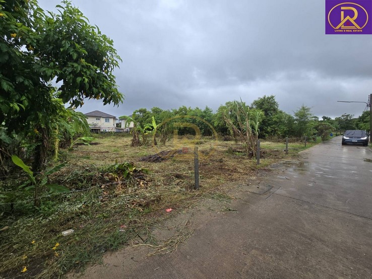 ขายที่ดินแบ่งขาย ใกล้วัดหลวงพ่อโสธร ซอยเทพคุณากร 15 ขนาด 100 ตารางวา ต.โสธร อ.เมืองฉะเชิงเทรา จ.ฉะเชิงเทรา